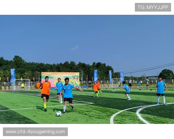 特色乡村足球园地,乡土运动新风潮,乡村足球队